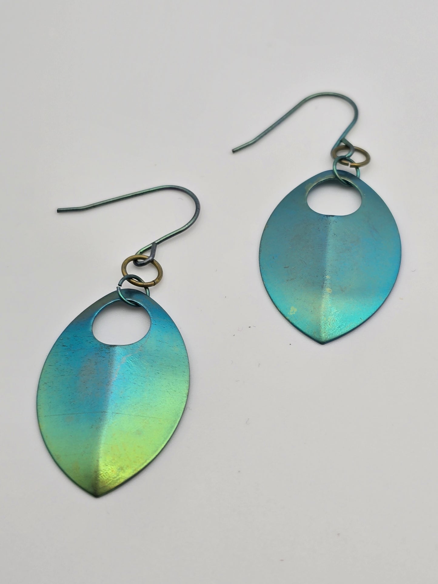 B!tch, He’s Mine Titanium Scale Earrings