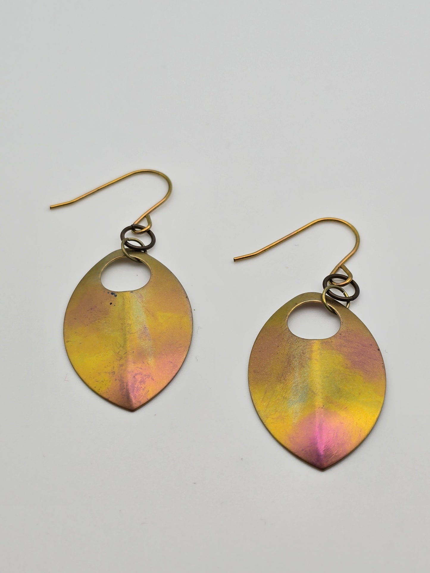 B!tch, He’s Mine Titanium Scale Earrings