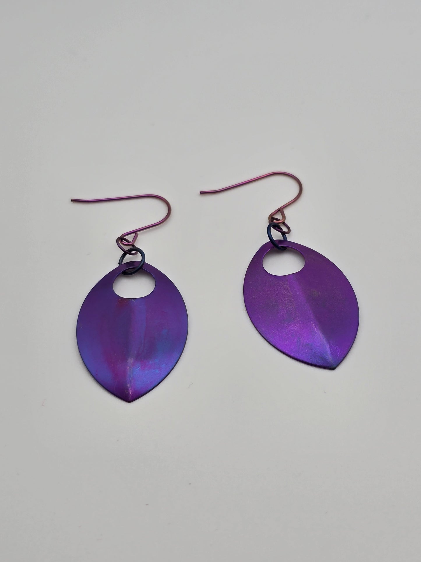 Bye, Felicia Titanium Scale Earrings