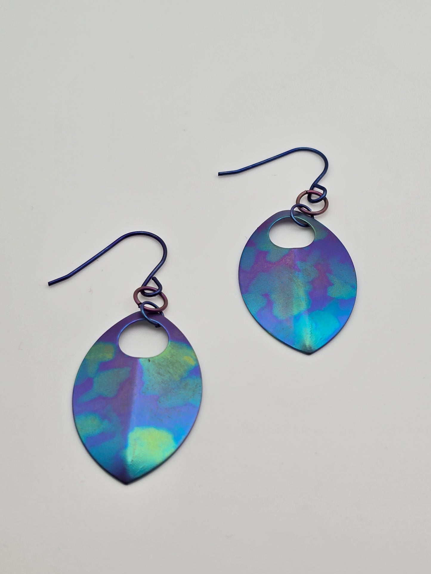 Bye, Felicia Titanium Scale Earrings