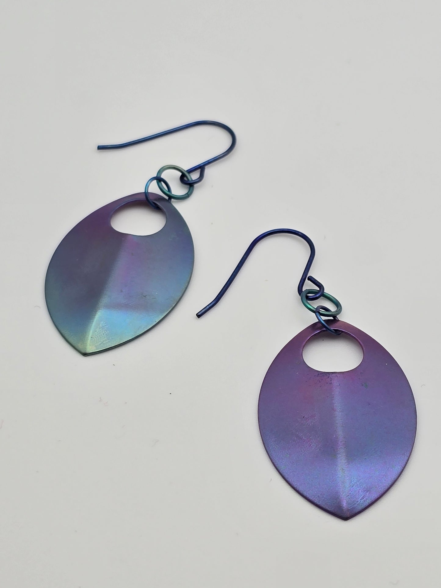 B!tch, He’s Mine Titanium Scale Earrings